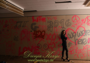 1DSC_2217