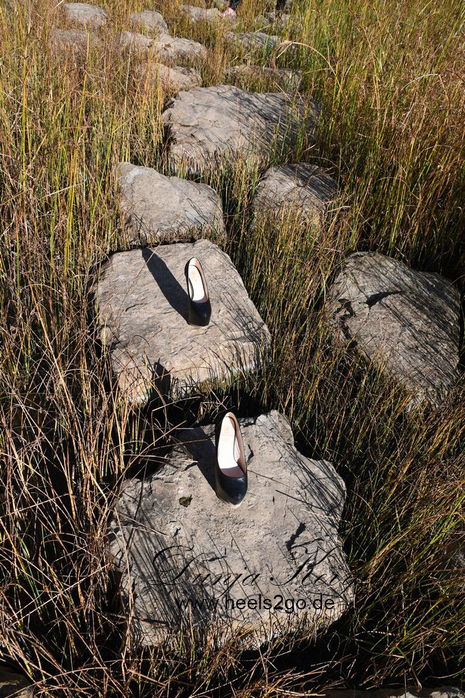 Heels im Wassergarten Schiffweiler-Reden