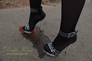 weinberg_nylons02