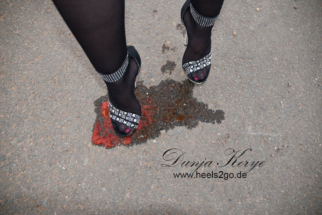 weinberg_nylons05