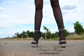 weinberg_nylons07