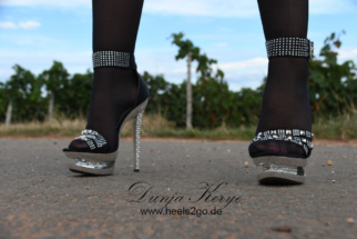 weinberg_nylons08
