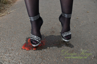 weinberg_nylons12